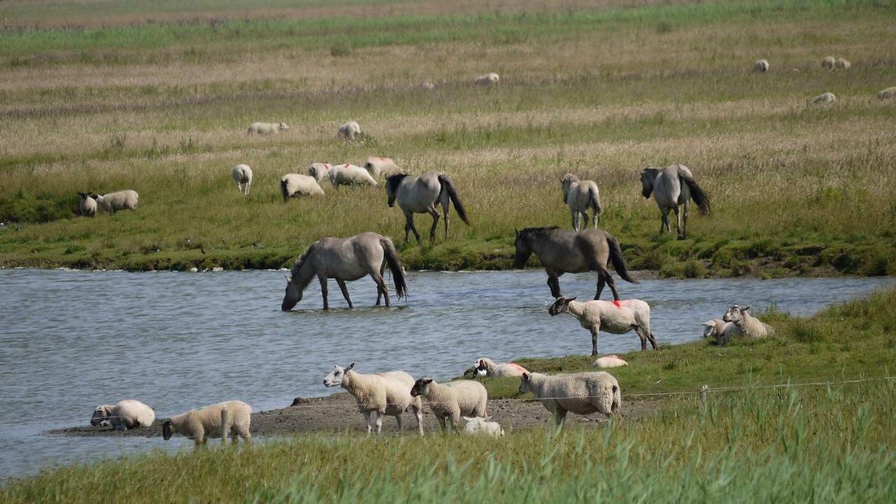 Wattenblick Büsum Exteriör bild