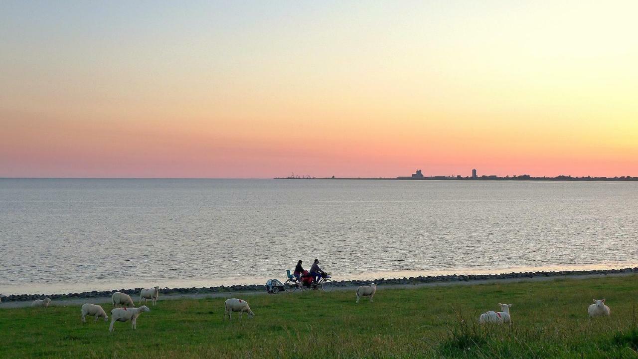 Wattenblick Büsum Exteriör bild