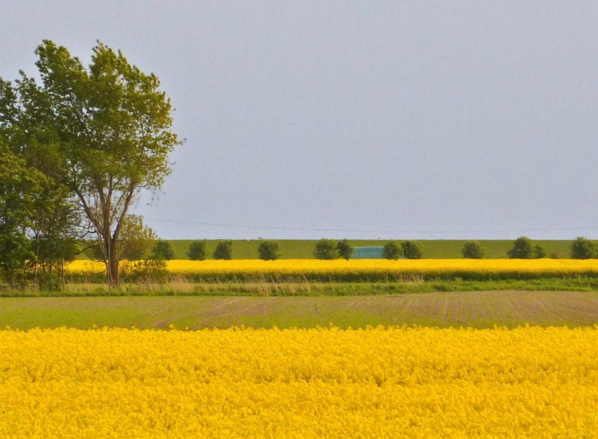 Wattenblick Büsum Exteriör bild